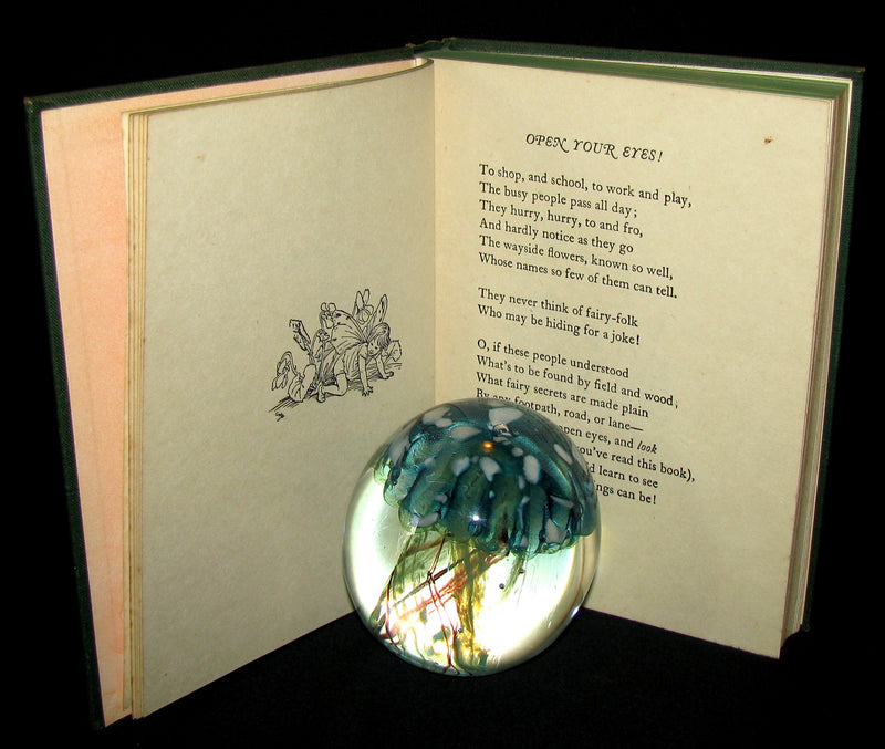 1950 - Cicely Mary Barker - FAIRIES OF THE FLOWERS AND TREES - 1st Edition