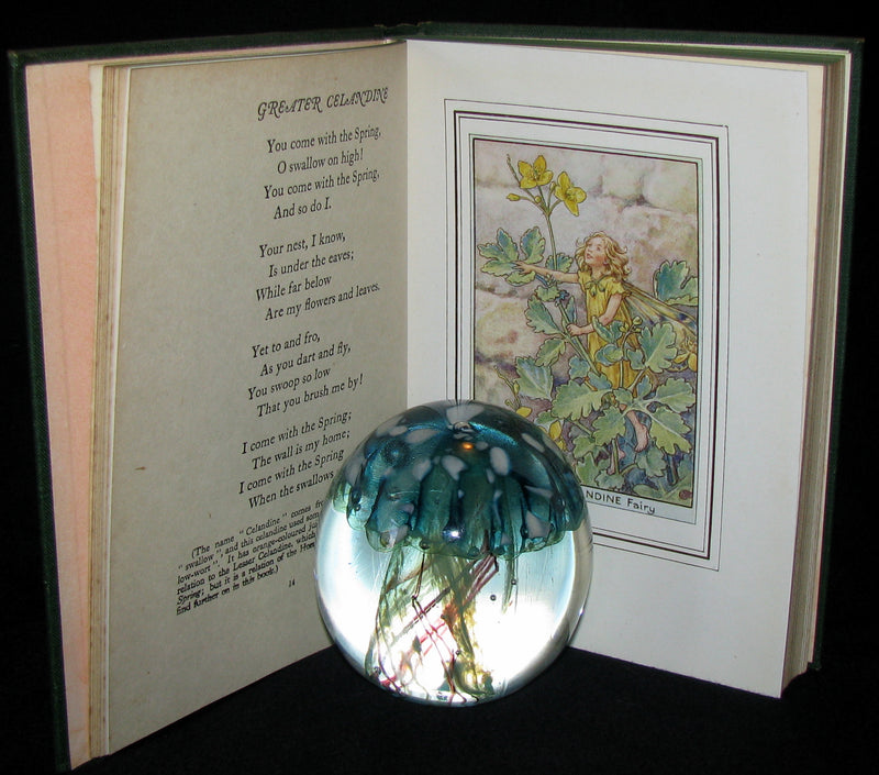 1950 - Cicely Mary Barker - FAIRIES OF THE FLOWERS AND TREES - 1st Edition