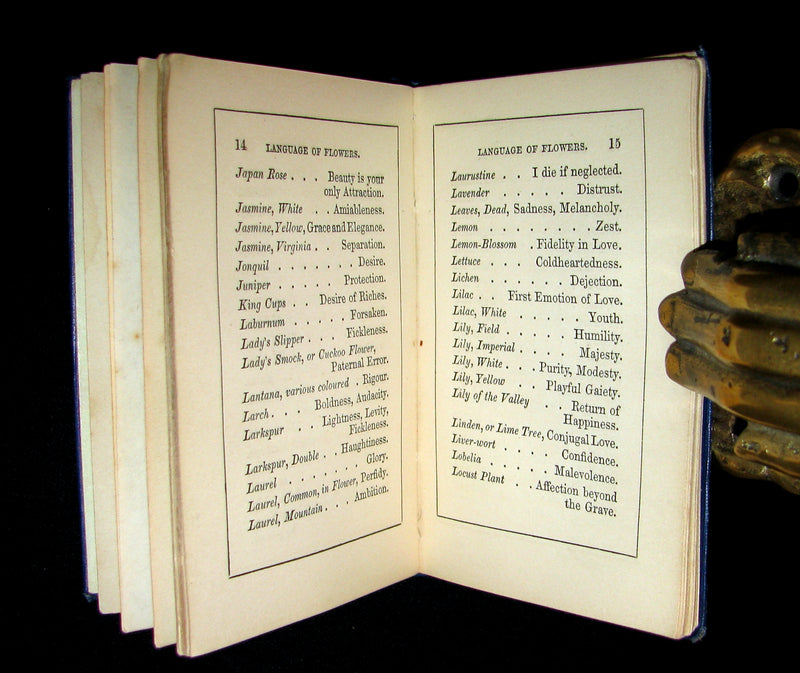 1860 Scarce Floriography Book ~ The Emblematic Language Of Flowers.