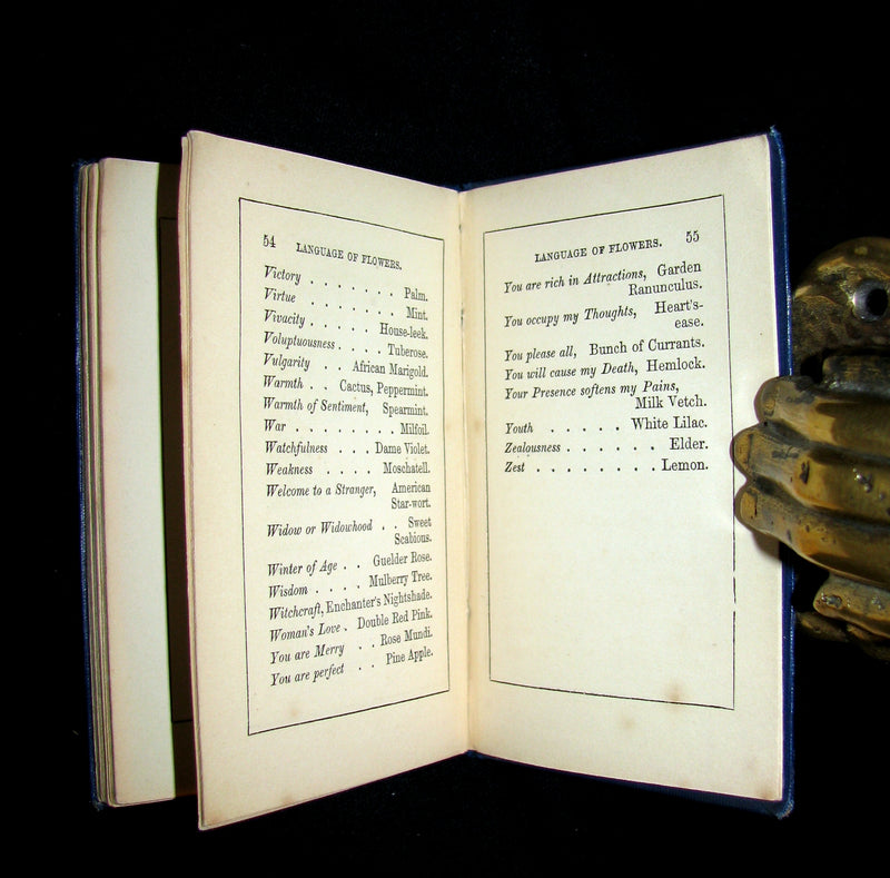 1860 Scarce Floriography Book ~ The Emblematic Language Of Flowers.