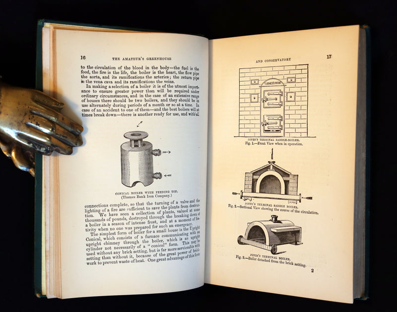 1883 Rare Victorian Book - The Amateur's Greenhouse for Plants and Flowers by the famous botanist James Shirley Hibberd.