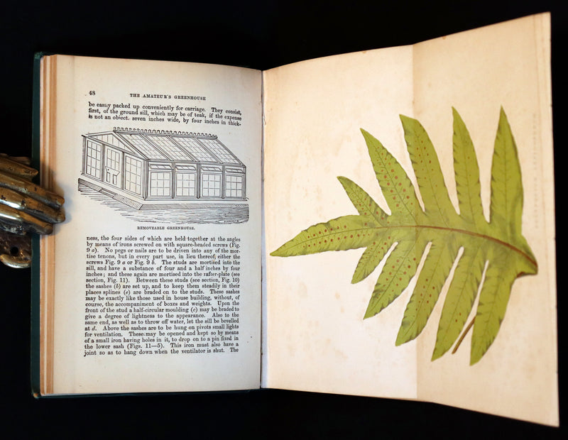 1883 Rare Victorian Book - The Amateur's Greenhouse for Plants and Flowers by the famous botanist James Shirley Hibberd.
