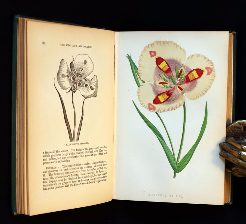 1883 Rare Victorian Book - The Amateur's Greenhouse for Plants and Flowers by the famous botanist James Shirley Hibberd.