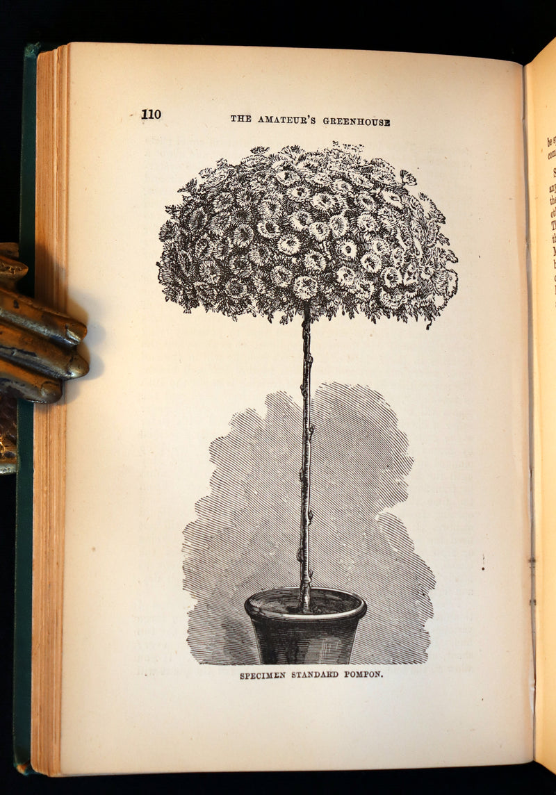 1883 Rare Victorian Book - The Amateur's Greenhouse for Plants and Flowers by the famous botanist James Shirley Hibberd.