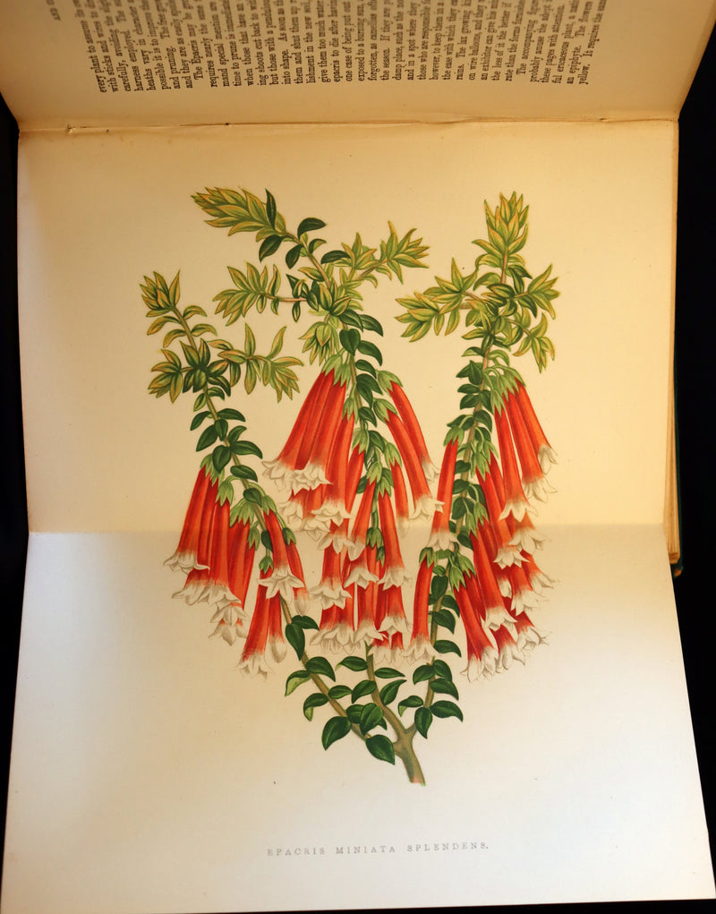 1883 Rare Victorian Book - The Amateur's Greenhouse for Plants and Flowers by the famous botanist James Shirley Hibberd.