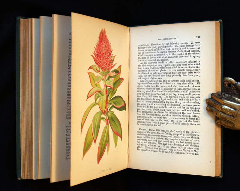 1883 Rare Victorian Book - The Amateur's Greenhouse for Plants and Flowers by the famous botanist James Shirley Hibberd.
