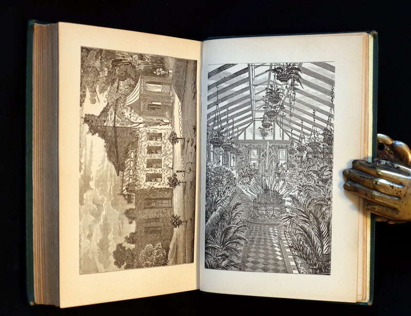 1883 Rare Victorian Book - The Amateur's Greenhouse for Plants and Flowers by the famous botanist James Shirley Hibberd.