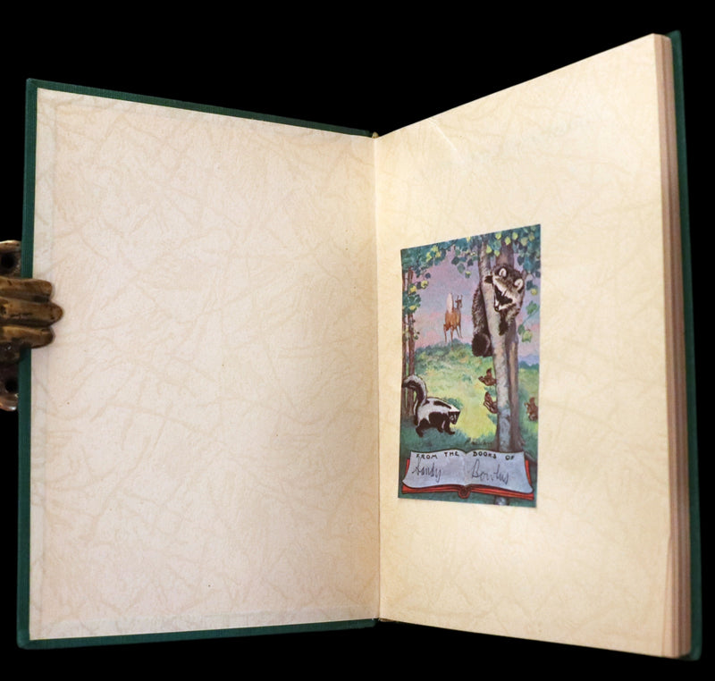 1934 Rare First English Edition - The Adventures of Mr. Pipweasel illustrated by Ida Bohatta Morpurgo.