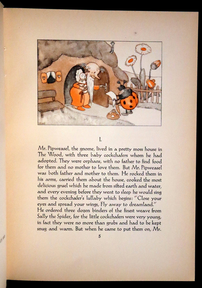 1934 Rare First English Edition - The Adventures of Mr. Pipweasel illustrated by Ida Bohatta Morpurgo.