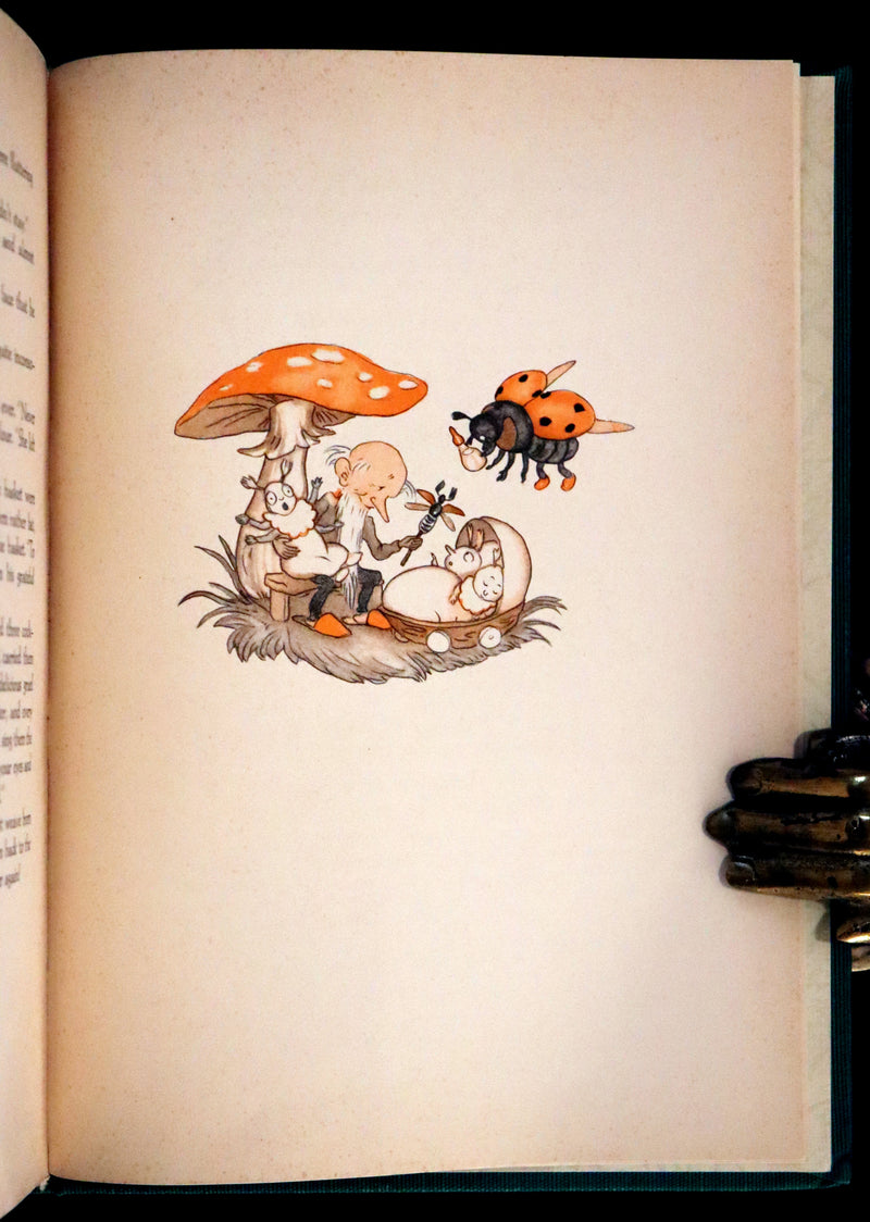 1934 Rare First English Edition - The Adventures of Mr. Pipweasel illustrated by Ida Bohatta Morpurgo.